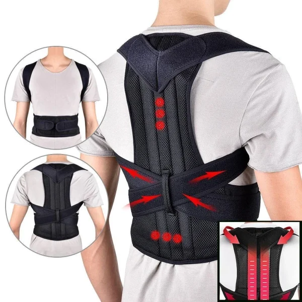A3a7b4fe9bf414529af3adf9e9e6560e06.webp